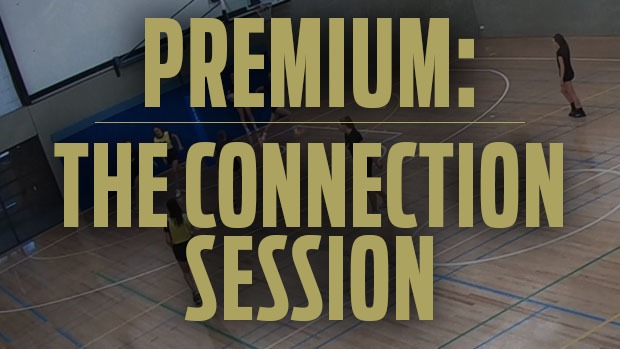 Dan Ryan netball coaching connection specialist session