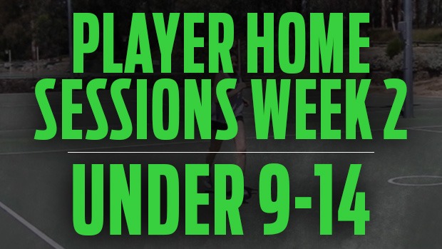 Home netball training sessions
